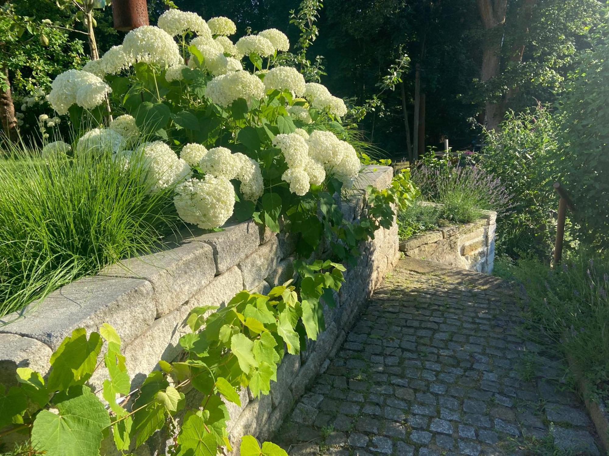 Romantik Idyll Am Tiefental Konigsbruck Exterior photo